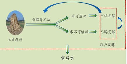 农产品加工废弃物高值清洁转化技术研究