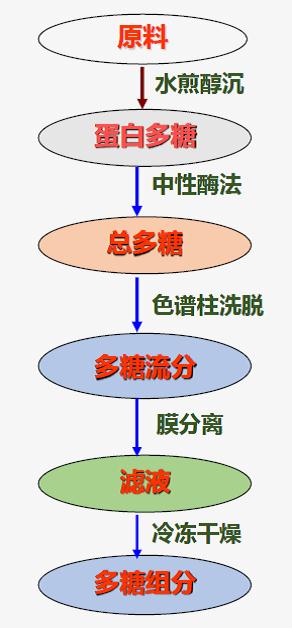 食用菌精深加工技术及综合利用