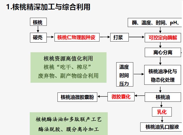 核桃精深加工及综合利用